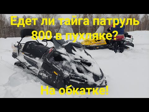 Видео: ЕДЕТ ЛИ В ПУХЛЯКЕ ТАЙГА ПАТРУЛЬ 800?