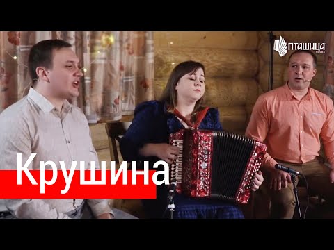 Видео: Крушина – Ансамбль ПТАШИЦА | Очень красивая песня под гармонь