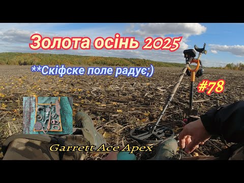 Видео: Золота осінь 2025🍂🍁 Знову копаю на скіфському полі🗿😉 Garrett Ace Apex. Фільм#78