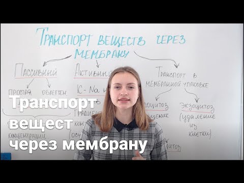 Видео: Транспорт веществ через мембрану