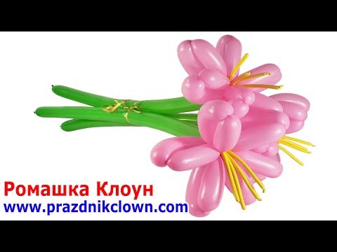 Видео: КРАСИВЫЕ ЦВЕТЫ из шариков как сделать БУКЕТ Balloon Bouquet flores con globos #РомашкаКлоун