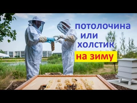 Видео: #Пчёлы. Чем лучше накрывать гнездо пчёл. Холстик, деревянная потолочина или плёнка.