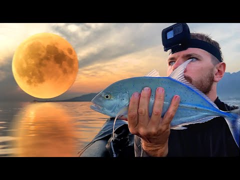 Видео: Утренний жор в полнолуние┃Рыбалка с каяка на рифе Бали