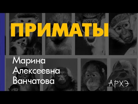 Видео: Марина Ванчатова: "Приматы — отряд млекопитающих, систематика и экология"