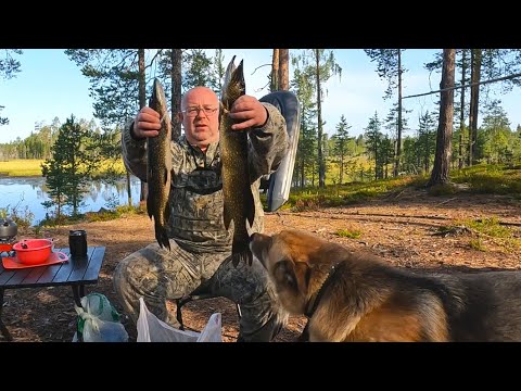 Видео: Рыбалка в Карелии. Щука и окунь на спиннинг на красивейшем озере.