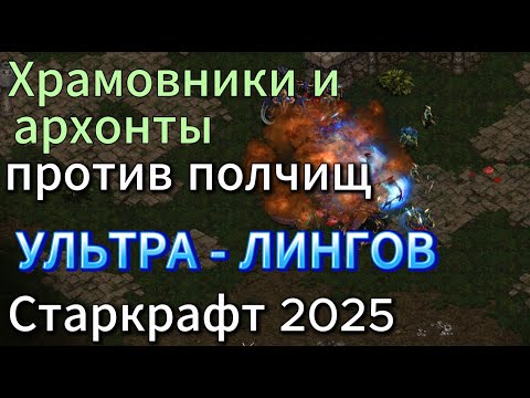 Видео: ПОЛЧИЩА ультра-лингов от зерга Jaedong, против храмовников и архонтов от протосса Lucifer  Старкрафт
