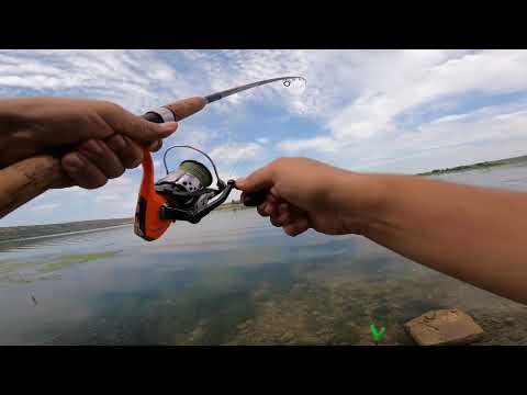 Видео: РЫБАЛКА НА ФИДЕР! РАЗВЕДКА НОВОГО МЕСТА!