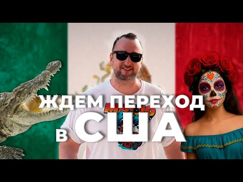 Видео: Переезд в Америку ч2 СПИННЕРОЛЮДИ,КРОКОДИЛЫ и ЖАРА 