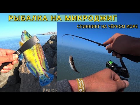 Видео: КЛАССНО ПОРЫБАЧИЛ НА МОРЕ В ОТПУСКЕ! РЫБАЛКА в праздники на Микроджиг СПИННИНГ.