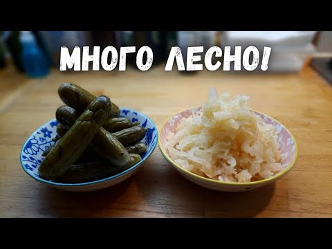 Видео: Как да си направим домашни кисели краставички и кисело зеле!