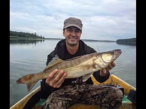 Видео: Владимир Политов