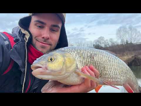 Видео: Рибалка на Річці на ХЛІБ Взимку! Ловля Трофейного Головня. Риболовля 2024