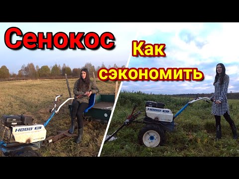 Видео: Как сэкономить сено или сенокос мотоблоком