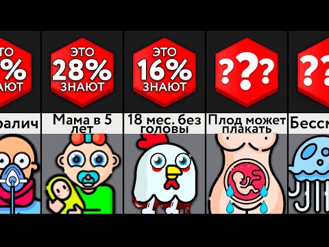 Видео: Самые Жуткие Факты