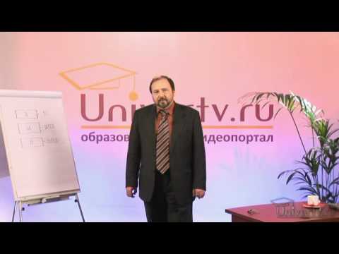 Видео: Определение темперамента