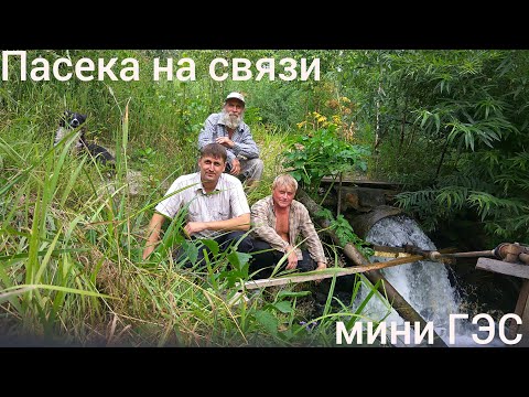 Видео: На пасеке: Дед Костя Илья.