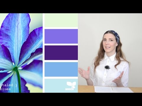 Видео: Блок 1. Дизайн. Часть 4 (6), про сочетания цветов при мокром  валянии и  маленькие хитрости