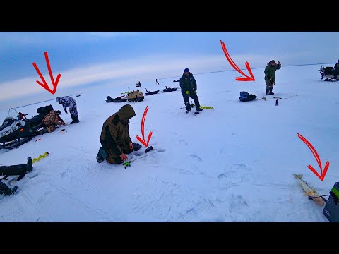 Видео: ВЕСЕННИЙ ЖОР СУДАКА НАЧАЛСЯ! Попали на ВЕЧЕРНИЙ ХАПОК! Ловля судака с эхолотом Практик. Рыбалка 2024