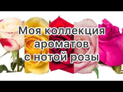 Видео: Мои ароматы с нотой розы 🌹