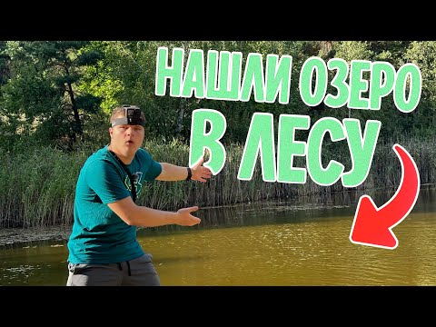 Видео: Нашли старое заброшенное озеро в лесу! Будет ли рыбалка?