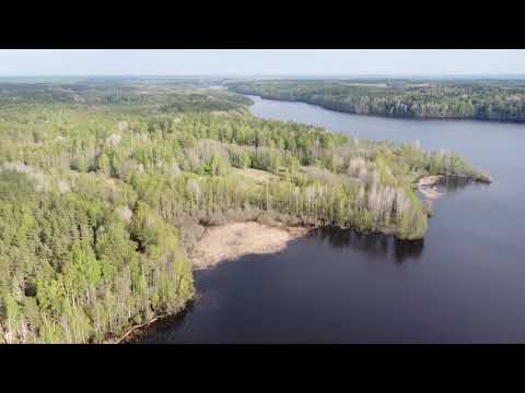 Видео: Любимовское Озеро. Рыбная Ферма