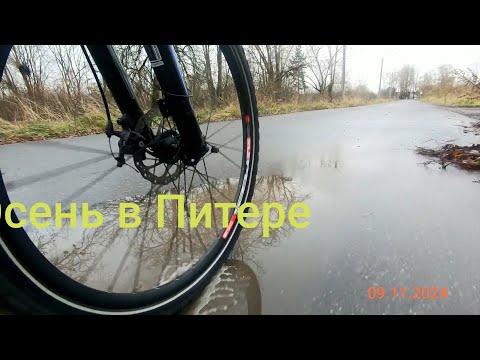 Видео: Осень. Суббота 09.11.2024.