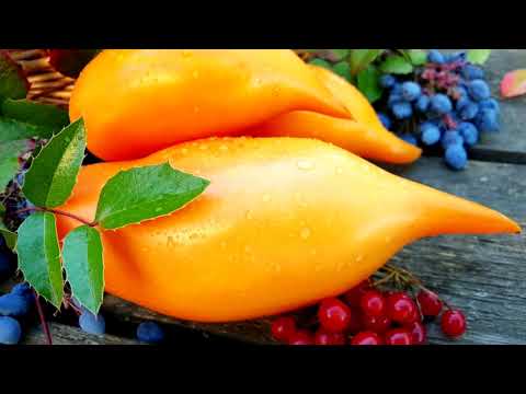 Видео: Шикарная коллекция семян от Людмилы Кодзасовой !