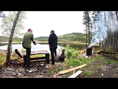 Видео: 2 брата в уединённой хижине: новый дворик, новый пруд, форель из ручья, эпизод №91, часть 2