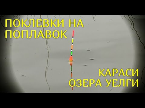 Видео: Поклевки карася на поплавок. Рыбалка на поплавок. Озеро Уелги