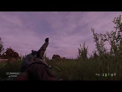 Видео: Жиденький Арменский Dayz