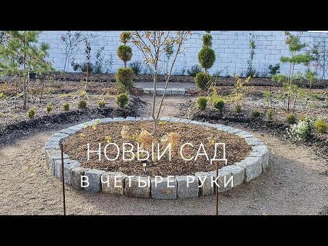 Видео: Первая прогулка по Новому саду