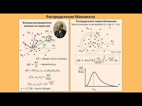 Видео: Рассмотрение темы: "Распределение Максвелла" #физика #школа #самара #10класс