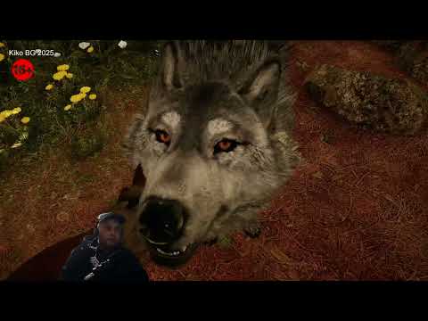 Видео: 16~FarCry Primal- бия се с тигри и помагам