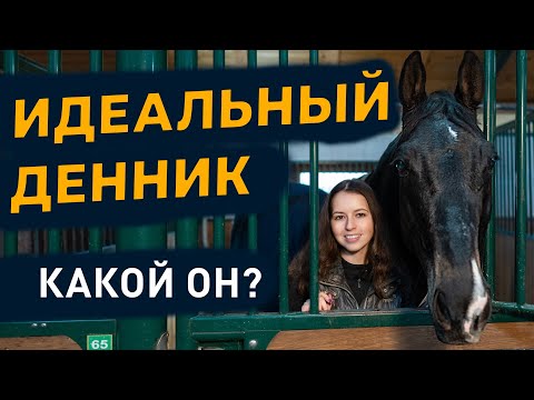 Видео: Денник для лошади / Как создать идеальные условия / Комфорт и безопасность