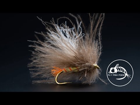 Видео: Салли от Лэнса Эгана: обязательная процедура для CDC! | Салли от Corn Fed 2.0