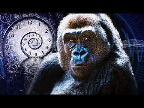 Видео: ПОЧЕМУ ВРЕМЯ ИДЕТ ВСЕ БЫСТРЕЕ?