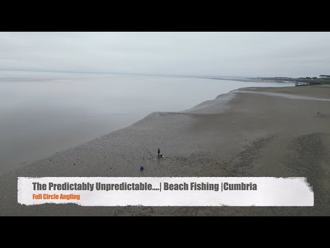 Видео: Предсказуемо непредсказуемо... | Пляжная рыбалка | Камбрия #морскаярыбалка #наотдых #приключения ...
