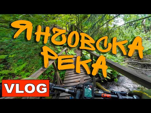 Видео: Алеко - Бистрица - Симеоново | MTB Vlog #MTB #VITOSHA