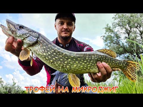 Видео: МИКРОДЖИГ летом! Где и как ловить окуня и щуку?