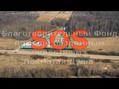 Видео: Save Our Souls_Спасите наши Души
