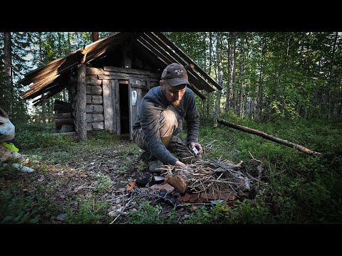 Видео: ТРИ НОЧИ В ДИКОЙ ТАЙГЕ. МЕДВЕДЬ РАЗОРИЛ СХРОН. ЗАБЛУДИЛСЯ. РЫБАЛКА.