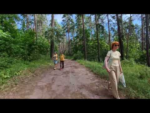 Видео: Велопрогулка по лесу