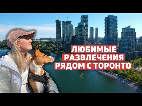 Видео: Торонто летом- Даунтаун, Ниагара, Оквилл, Лавандовые поля. Что посмотреть в Торонто за 5 дней?