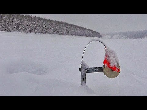 Видео: НА ЖЕРЛИЦЫ СССР! БЕШЕННЫЙ ЖОР! Рыбалка в Якутии, первый лёд