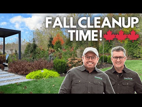 Видео: Осенняя уборка сада и выкопка георгинов 🌸 Сохранение клубней + посадка новых аллиумов