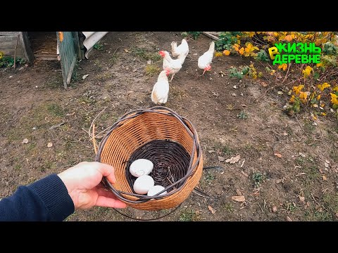 Видео: Плету корзины из ротанга