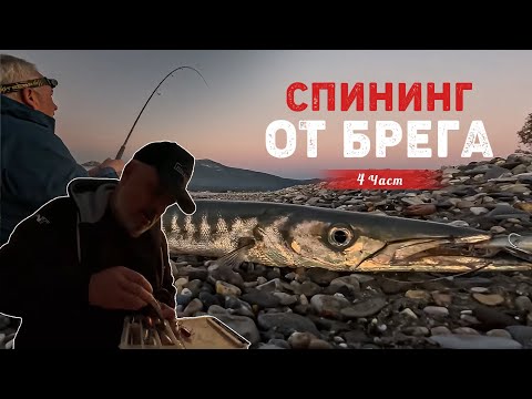 Видео: Яки сутрешни ХИЩНИЦИ на спининг от брега / 4 част