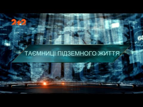 Видео: Тайны подземной жизни – Затерянный мир. 4 сезон. 15 выпуск