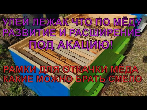 Видео: Улей ЛЕЖАК сколько мёда в лежаке РАМКИ ДЛЯ ОТКАЧКИ какие можно брать РАЗВИТИЕ И РАСШИРЕНИЕ ✅☝️🐝