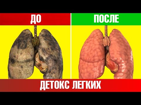 Видео: Лучшая защита легких и печени! Детоксикация легких и печени🙌